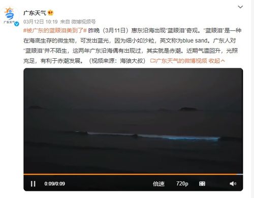 湛江天气(湛江天气微博) 湛江天气(湛江天气微博)