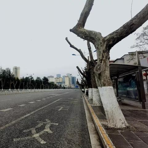 近三天天气情况如何(未来三天) 近三天天气情况如何(未来三天)