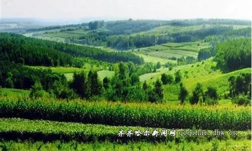 拜泉天气预报，走进北国小城的四季冷暖