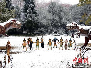 山东迎新一轮雨雪天气,2025年首场大范围降雪拉开序幕 山东迎新一轮雨雪天气,2025年首场大范围降雪拉开序幕