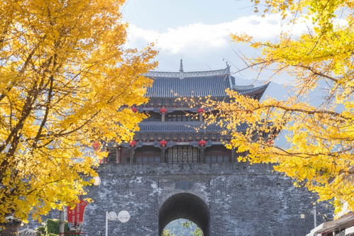 云南大理天气预报,四季如春的风花雪月之城,出行前必看指南 云南大理天气预报,四季如春的风花雪月之城,出行前必看指南