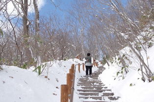 张家口的天气，一场风与雪的四季交响