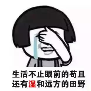 上海天气预报30天，梅雨与高温的拉锯战，你准备好了吗？