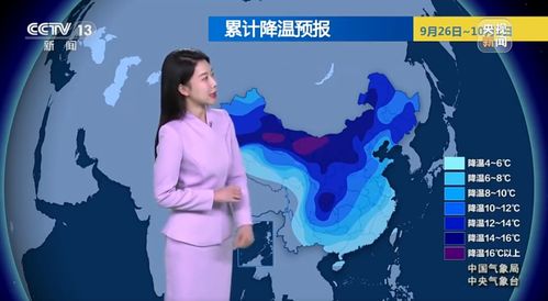 沈阳天气预报，冰与雪的交响，冷暖人间