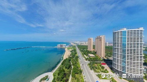 冬深春浅，烟台天气里的滨海生活密码