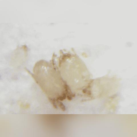 48小时逐小时天气预报，精准规划生活的时间显微镜